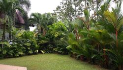 Raffles Park (D11), Detached #461165321